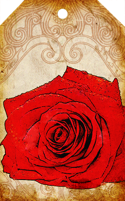 Romantic rose tags
