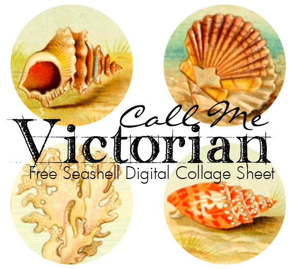 free-sea-shell-digital-collage-sheet