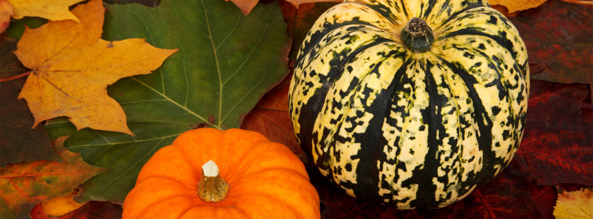 Autumn Facebook Timeline Covers | Call Me Victorian