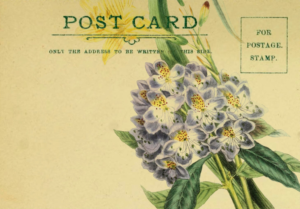 spring-flowers-digital-postcard