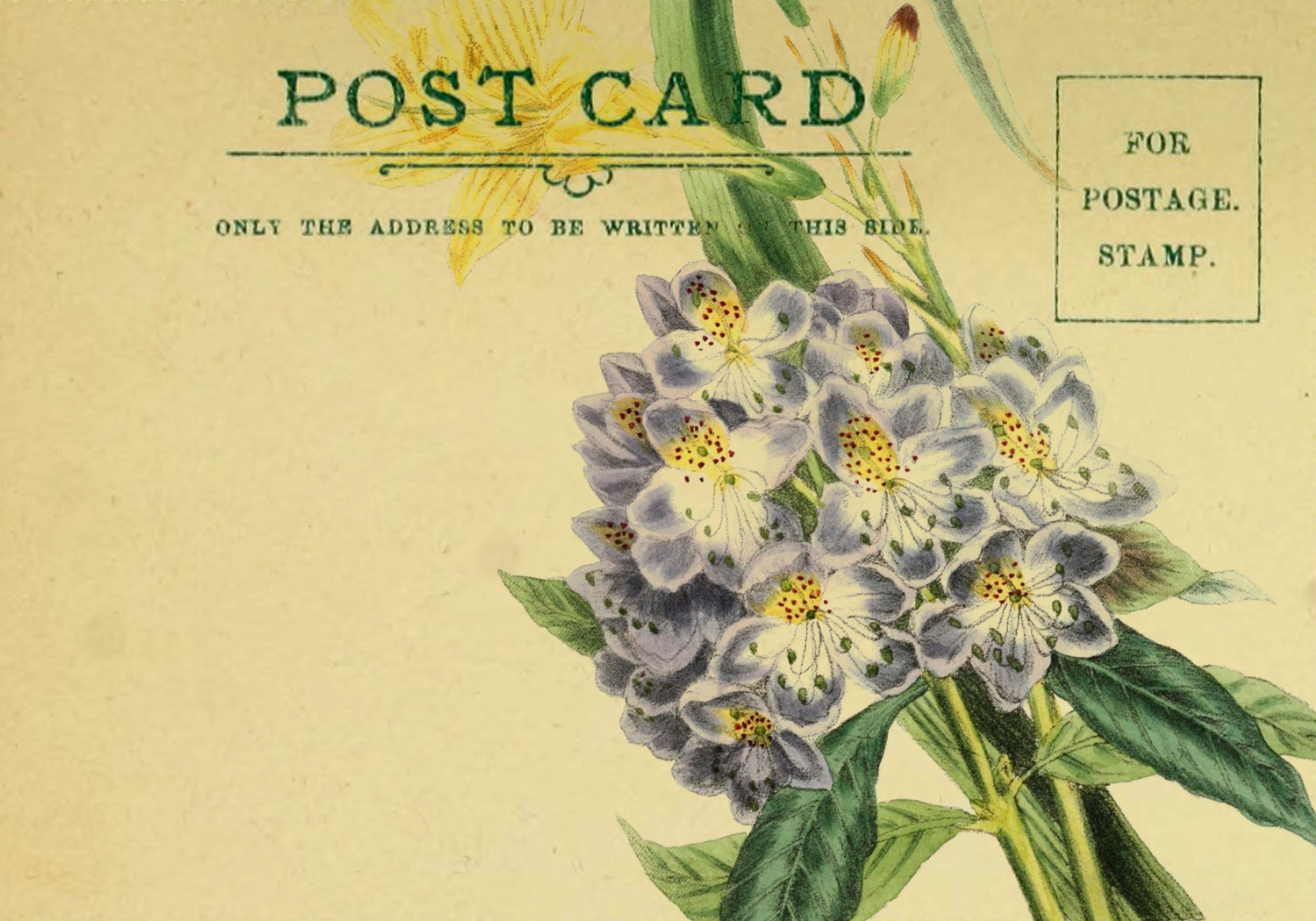 Spring Flowers Digital Postcard | Call Me Victorian