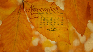 november-2014-calendar-medium