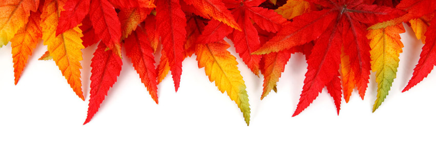 Autumn Facebook Timeline Covers | Call Me Victorian